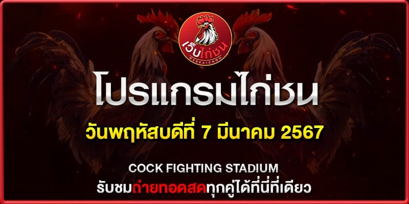 ไก่ชนสุมหัว070367