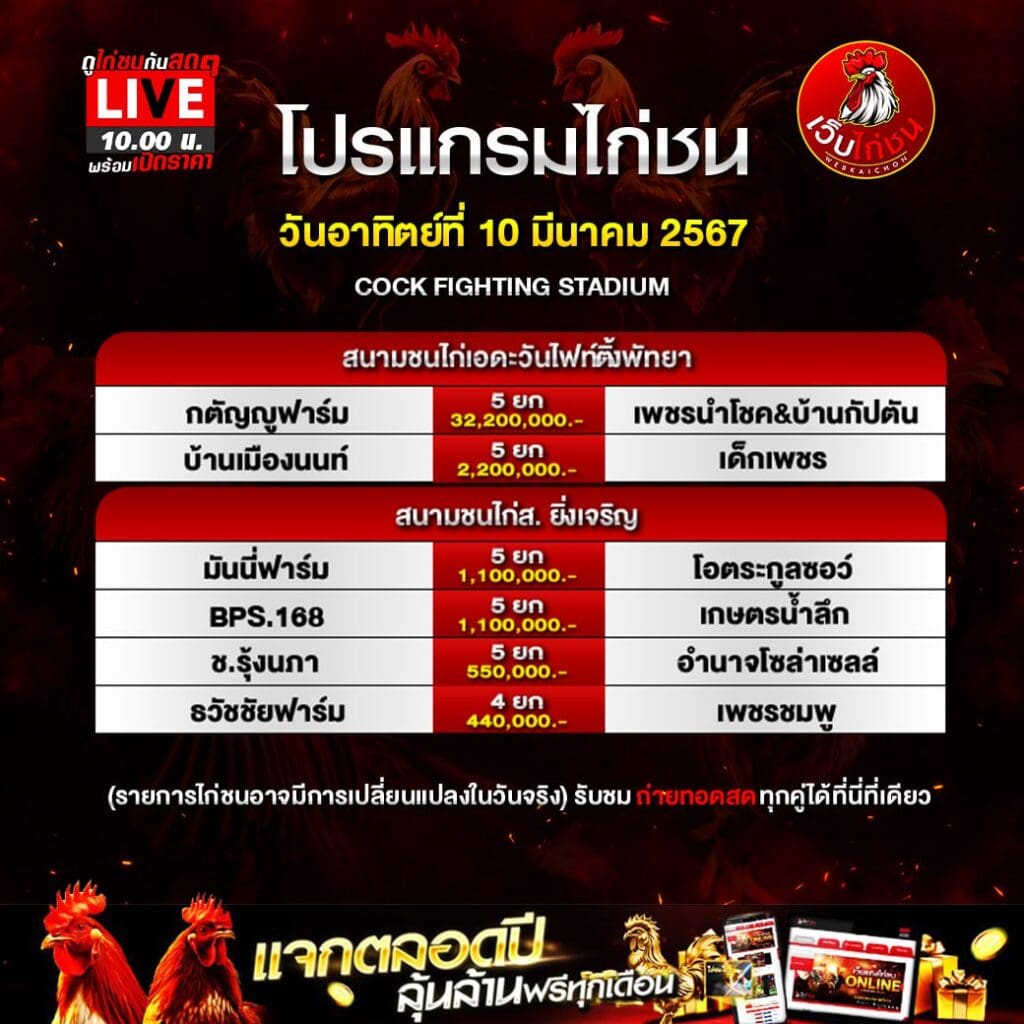 วิธี เล่นไก่ให้ได้เงิน100367