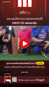 เปรียบไก่ชน