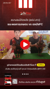 เปรียบไก่ชน