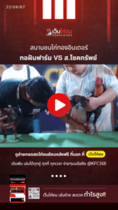 เปรียบไก่ชน