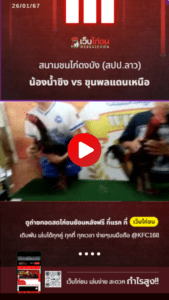 เปรียบไก่ชน