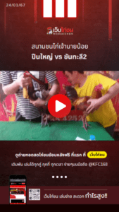 เปรียบไก่ชน