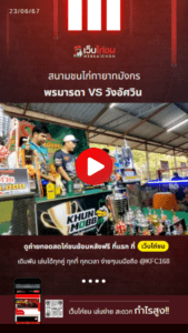 เปรียบไก่ชน