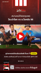 เปรียบไก่ชน