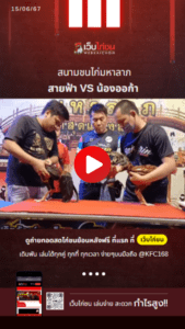 เปรียบไก่ชน