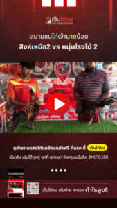 เปรียบไก่ชน