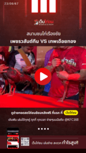 เปรียบไก่ชน