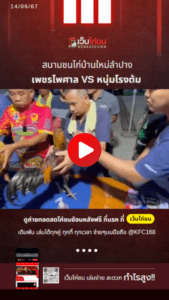 เปรียบไก่ชน