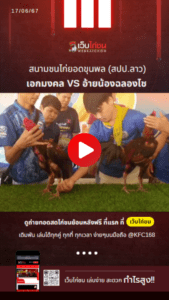 เปรียบไก่ชน