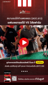 เปรียบไก่ชน