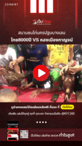 เปรียบไก่ชน