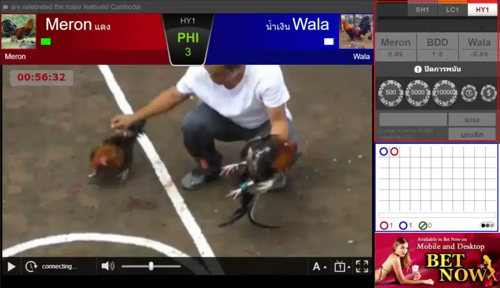 แทงไก่ชนออนไลน์