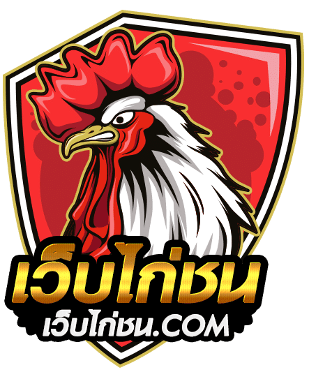 แทงไก่ชนออนไลน์