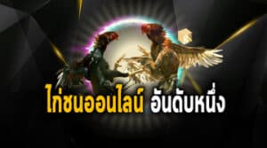 ไก่ชนออนไลน์สด