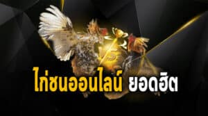 ไก่ชนออนไลน์สด