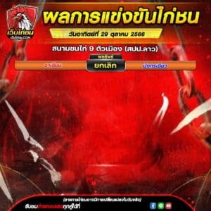 สรุปผลไก่ชน