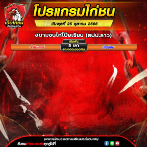 โปรแกรมไก่ชน