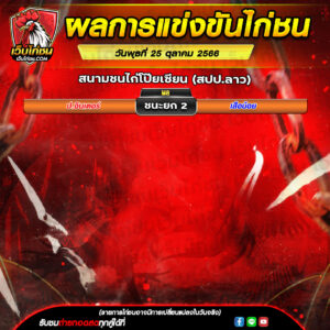 โปรเเกรมไก่ชน