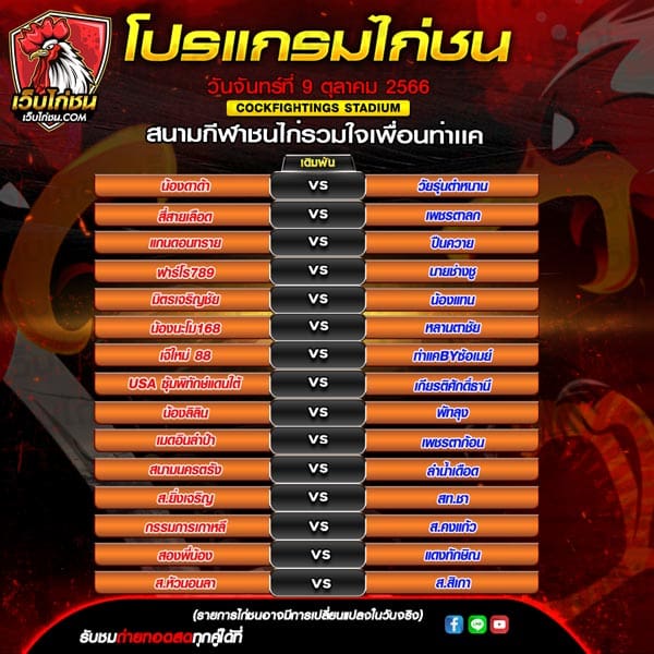 โปรแกรมไก่ชน