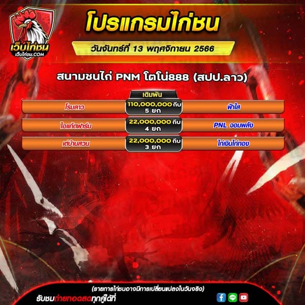 โปรแกรมไก่ชน