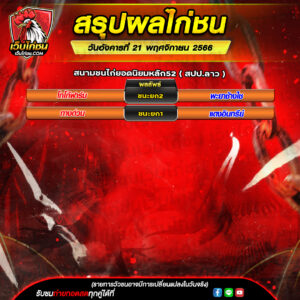 ผลไก่ชน