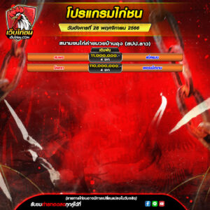 ราคาต่อรองไก่ชนวันนี้