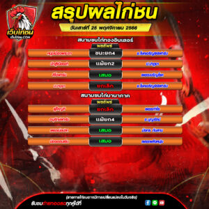 สรุปผลไก่ชน