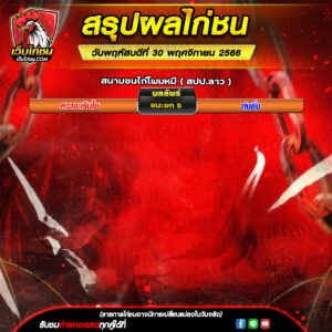 สรุปผลไก่ชน