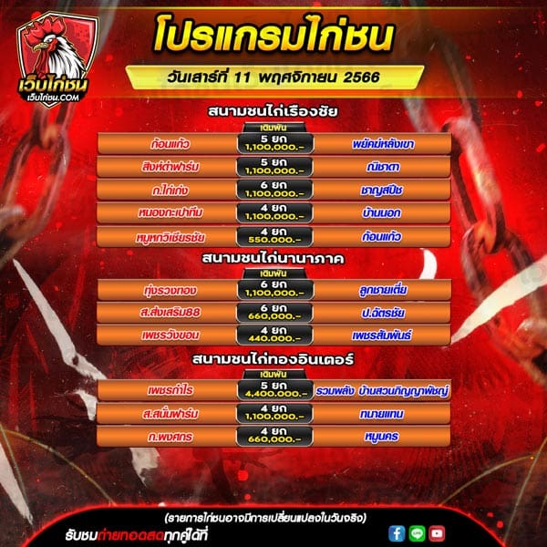 โปรแกรมไก่ชน