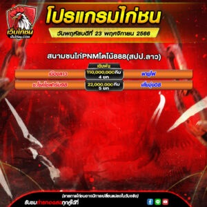 โปรแกรมไก่ชน
