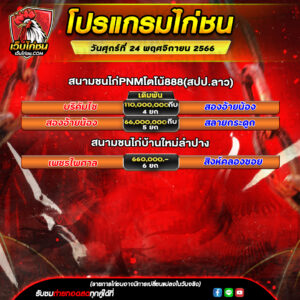 โปรแกรมไก่ชน