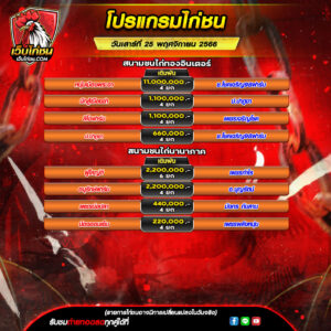 โปรแกรมไก่ชน