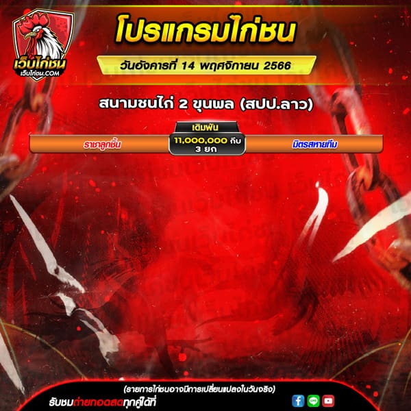 โปรแกรมไก่ชน-วันที่14