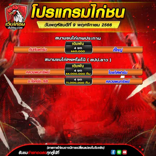 โปรแกรมไก่ชน