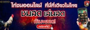 การพนันไก่ชน