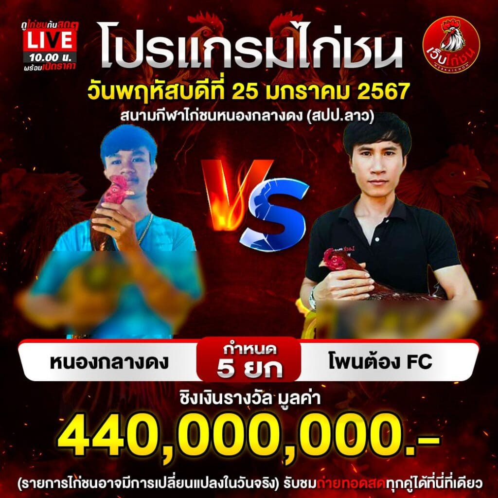 สรุปผลไก่ชนล่าสุด 250167