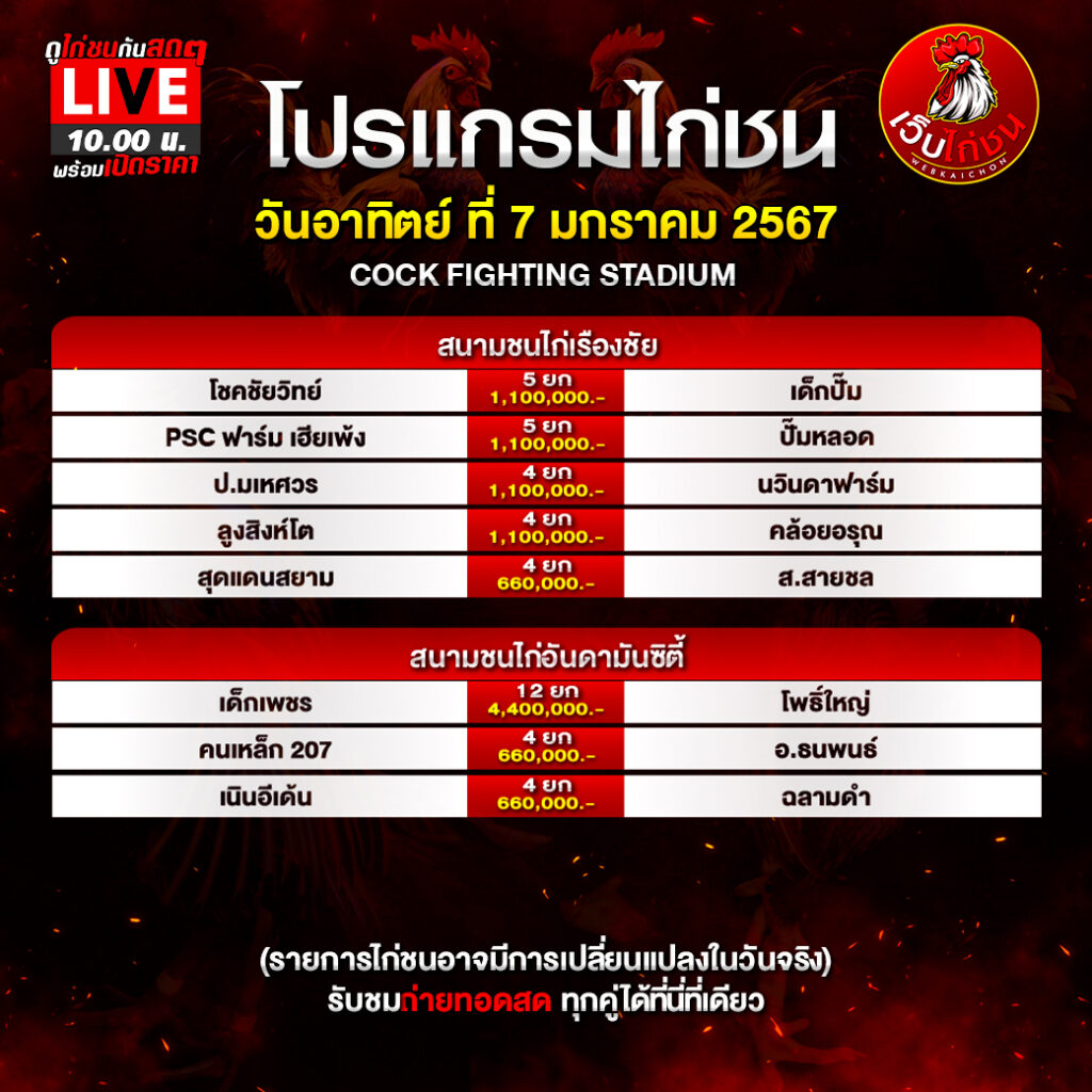 โปรแกรมไก่ชน