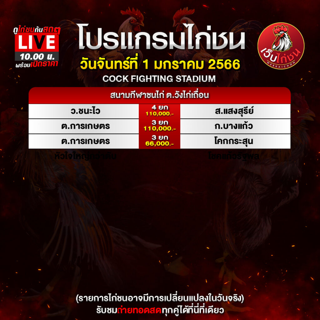 โปรแกรมไก่ชน