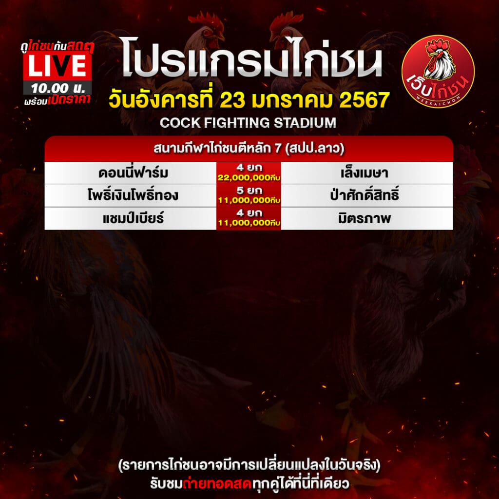 ไก่ชนใต้ล่าสุด