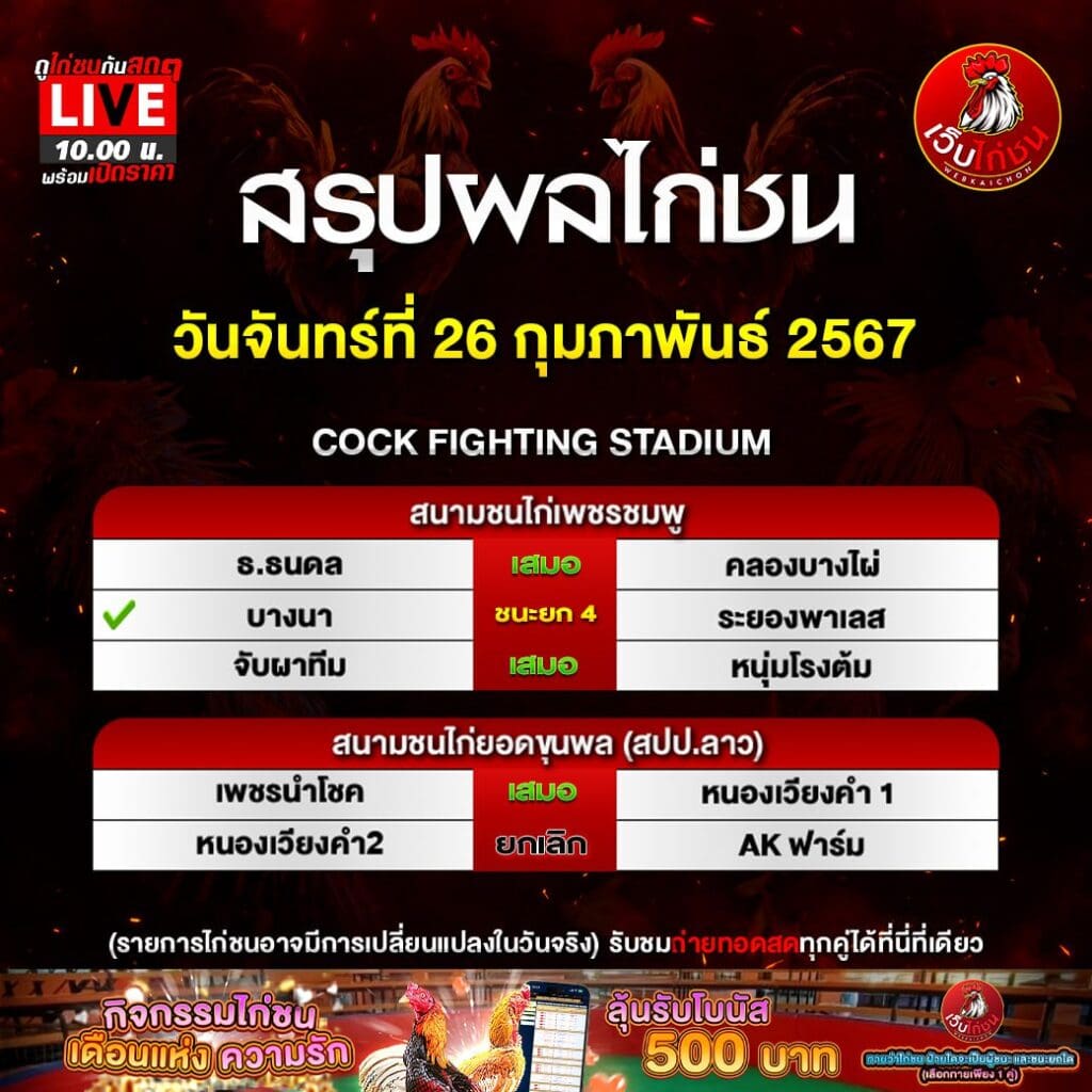 ข่าว ไก่ชน260267